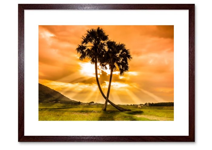 Amazing Landscapes